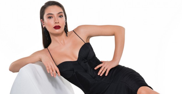 Gizemli Bir Bilim İnsanı; Bilge