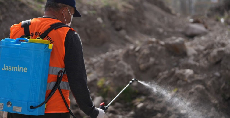 Gölbaşı Belediyesi'nden Haşereyle Yıl Boyu Mücadele