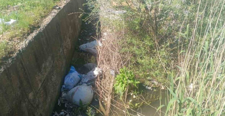 Gölbaşı'nda Su Kanallarına İlaçlama Talebi