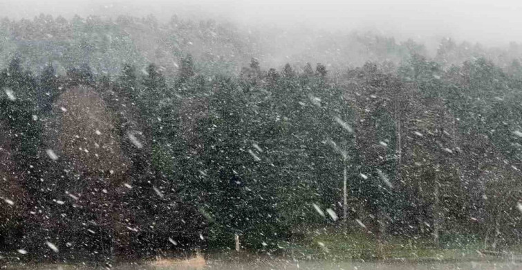 Gölcük Tabiat Parkı’nda Kar Yağışı ve Sis Etkili