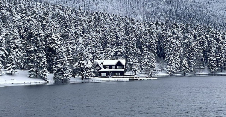 Gölcük Tabiat Parkı'nda Kış Manzaraları