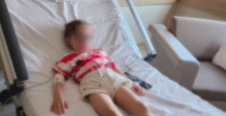 Gölcük'teki okulda çocuk fare zehiri ile hastaneye kaldırıldı