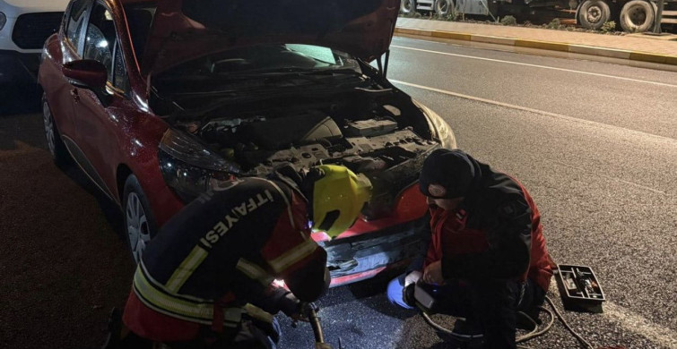 Gönen'de Motor Kısmına Sıkışan Tilki Kurtarıldı