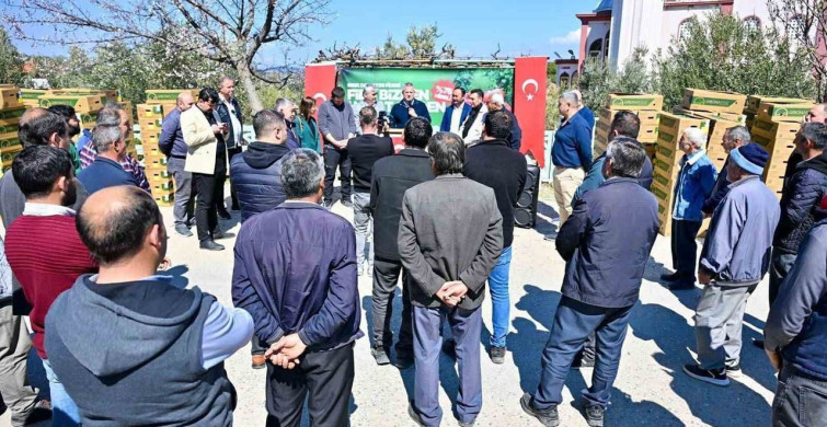 Gördes'te 73 Bin Domates Fidesi Üreticilere Dağıtıldı