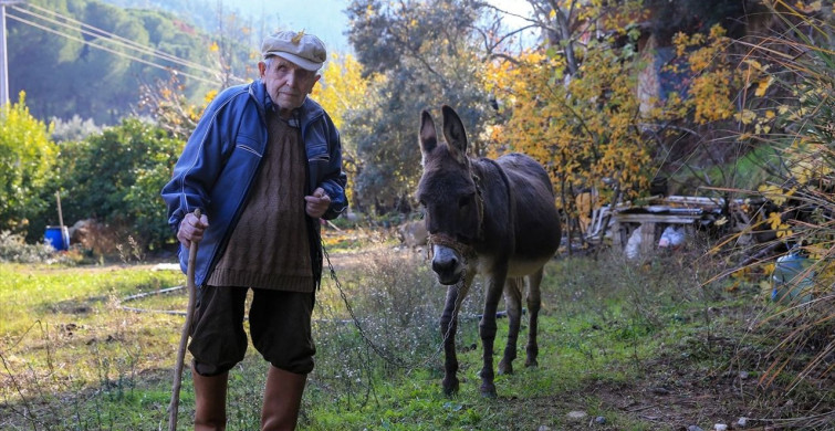 Görme Engelli Raif Kurt'un Eşeği 'Magare' ile 24 Yıllık Yolculuğu
