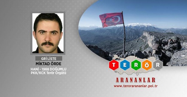 Gri Listedeki Terörist; Emniyet, Jandarma ve MİT Ortak Operasyonunda Etkisiz Hale Getirildi