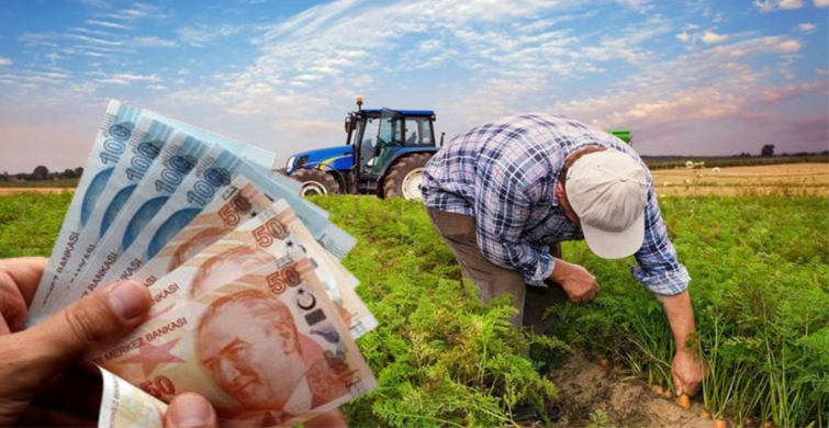 Gübre destekleri tek tek hesaba yatırılıyor! Çiftçiler bayram edecek