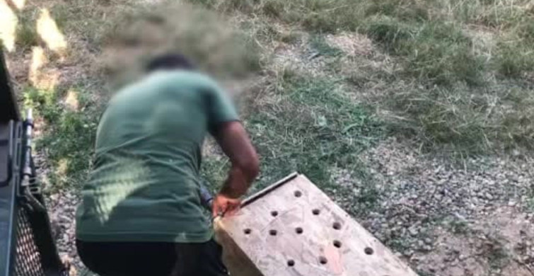 Gümrükler Muhafaza ekiplerinden kaçakçılara geçit yok: 4 yaban hayvanı kurtarıldı