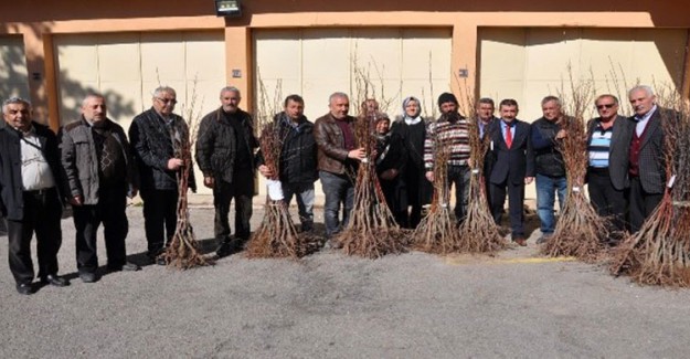 Gümüşhane'de Çiftçilere Bin 150 Fidan Dağıtıldı