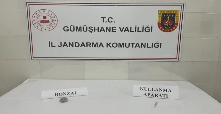 Gümüşhane'de Uyuşturucu Operasyonu: 1 Gözaltı