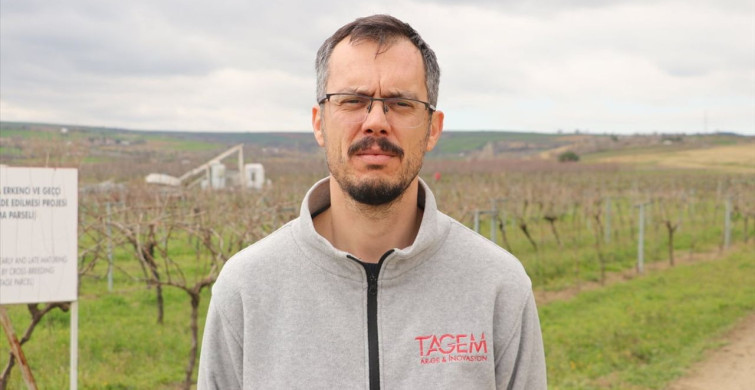 Gün Işığı Üzüm Çeşidi Yaygınlaşıyor