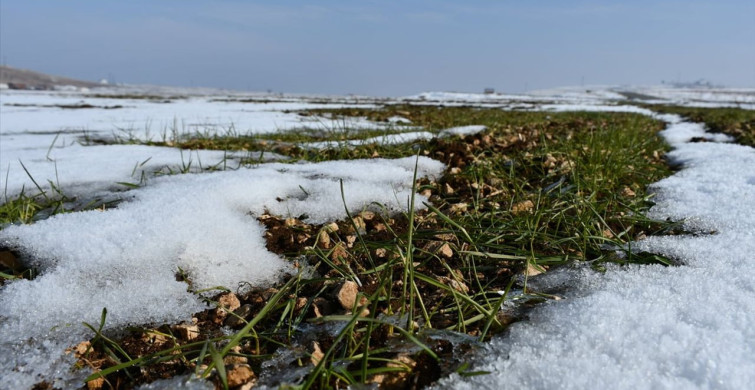 Güneydoğu Anadolu'da Kar Yağışı Umutları Tazeliyor