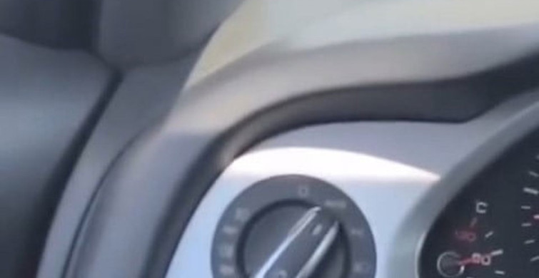 Gurbetçiler sınır kapısında kavga etti