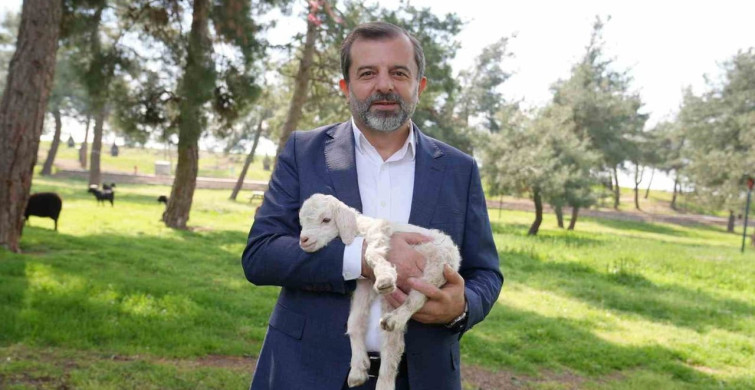 Gürsu Butik Hayvanat Bahçesi Yeni Sakinleriyle Açıldı