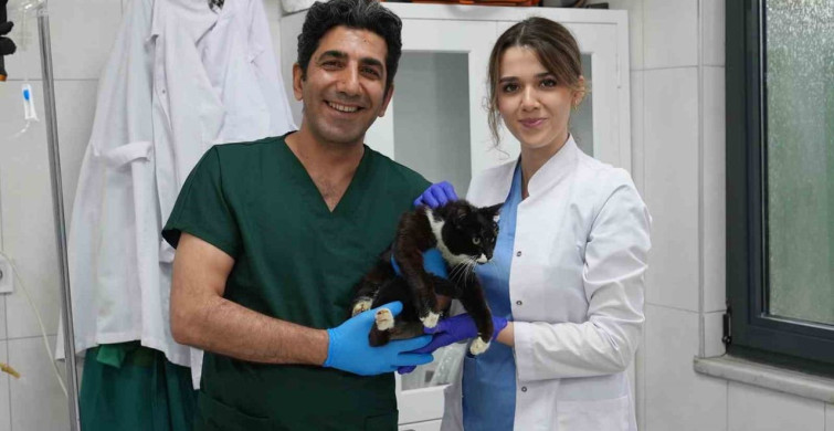 Gürsu Hayvan Bakım Merkezi: Can Dostlara Umut Oluyor