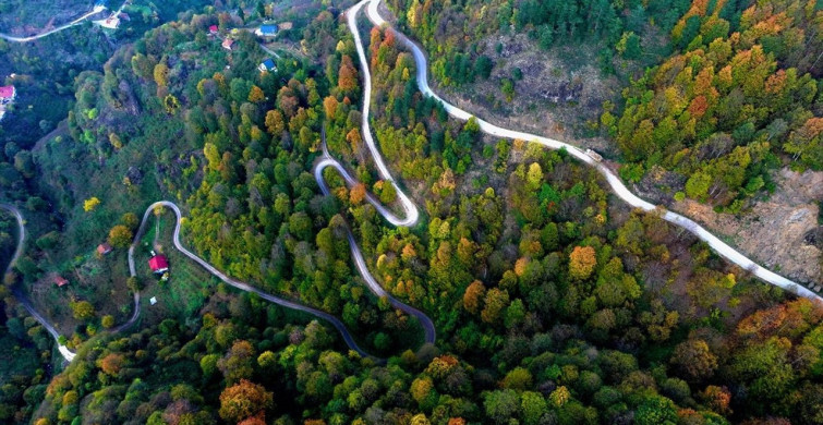 Güzeldere Şelalesi Tabiat Parkı'nda Sonbahar Renkleri