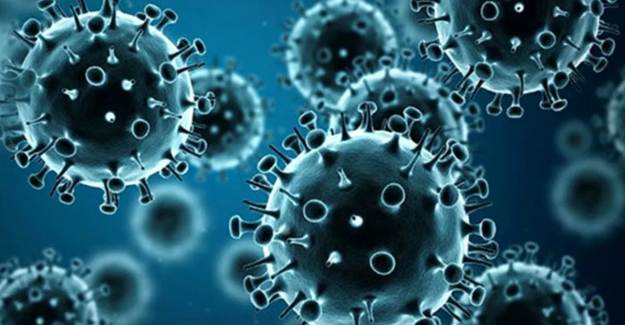 H3N2 Virüsü 