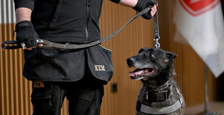 Hacettepe Üniversitesi’nde 'Neyin Peşindesin?' Etkinliği Düzenlendi