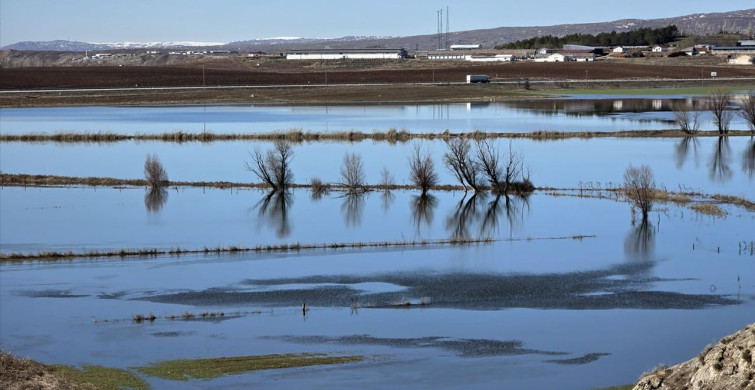 Hafik Lota Gölü'nde Su Seviyesi Rekor Düzeye Ulaştı