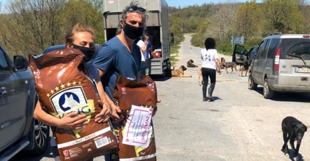 Haftasonunda İstanbul'daki Sokak Hayvanları Unutulmadı