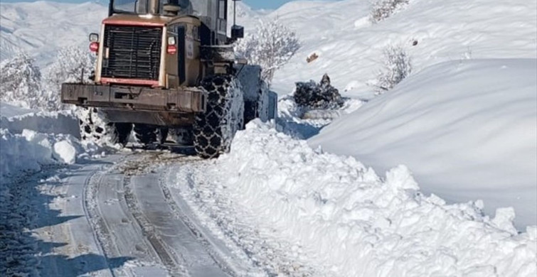 Hakkari ve Muş'ta Kapanan Yollar Yeniden Açıldı
