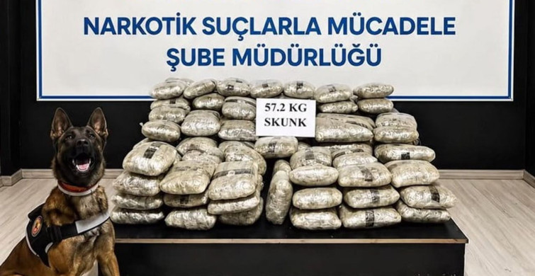Hakkari'de 57 kilo 200 gram skunk ele geçirildi