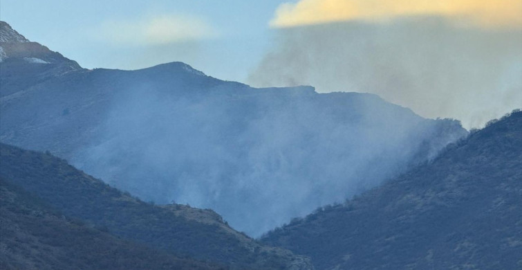 Hakkari'de Ağaçlık Alanda Yangın Kontrol Altına Alındı