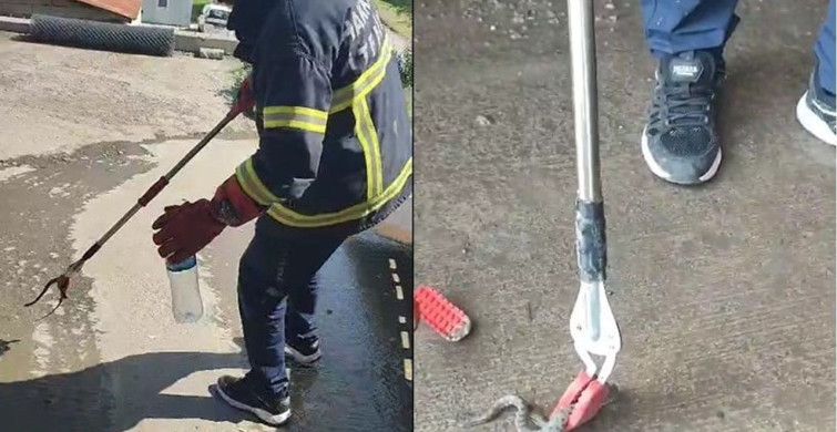 Hakkari'de aracın motor bölmesine giren yılan çıkarıldı