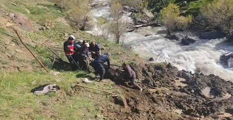 Hakkari'de Bataklığa Saplanan İnek Kurtarıldı
