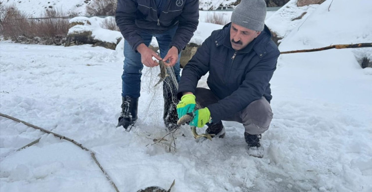 Hakkari'de Buzlu Zap Suyu'nda Balık Avı Deneyimi