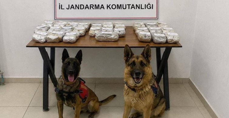Hakkari'de jandarma uyuşturucu operasyonu: 21 kilo 650 gram toz esrar ele geçirildi