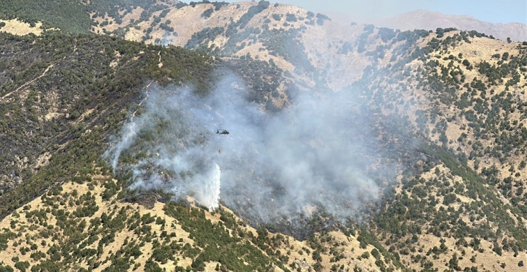 Hakkari'de Orman Yangınına Müdahale