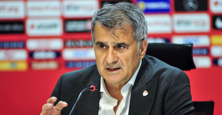 Hakkı Yalçın'dan A Milli Takım ve Şenol Güneş Hakkında Çarpıcı Yorumlar Geldi!