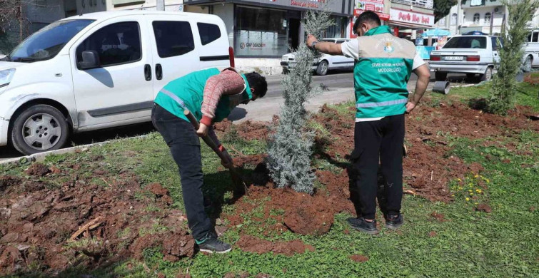 Haliliye Belediyesi'nden Yaz Öncesi Park Düzenlemeleri