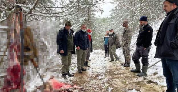 Hamile Karaca'yı Öldürenlere Para Cezası