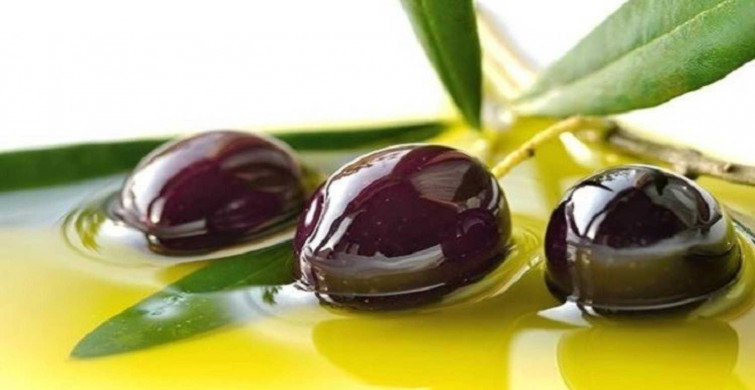 Hamilelikte zeytin tüketiminin yararları ve zararları nelerdir? Gebelikte zeytin yemenin bebek üstündeki etkileri