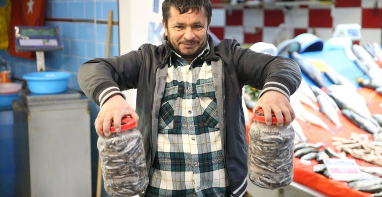 Hamsi Salamurası Zamanı Başladı