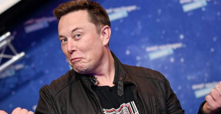 Hamster coin nedir, neden yükseliyor? Hamster coin Elon Musk Tweeti