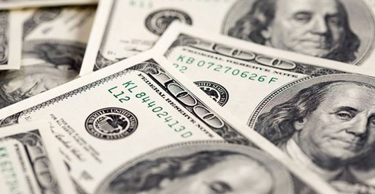 Hanehalkı Son Hafta İçerisinde Bir Milyar Dolar Döviz Bozdu