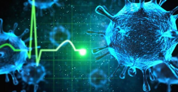 Hantavirüs Nedir, Nerede Çıktı? Hantavirüs Belirtileri Nelerdir?