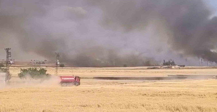 Harran'da 400 Dönüm Arazi Yanarak Kül Oldu