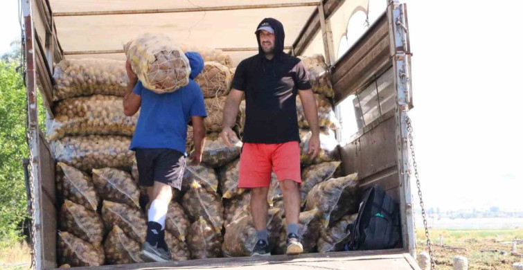 Hasadı başlayan patates fiyatlarıyla üreticilerin yüzünü güldürdü