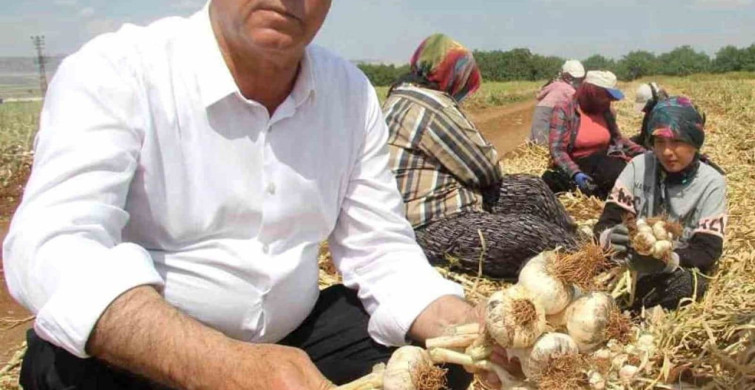 Hasan Altun'dan Dünya Çiftçiler Günü Mesajı