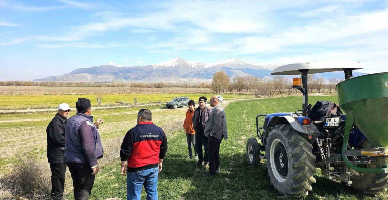 Haşhaş ve Hububatta Hastalık Kontrolleri Başladı