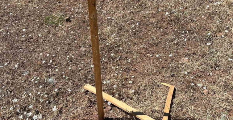 Hassa orman işletme şefliği tuzaklara zarar verilmemesi gerektiğini duyurdu