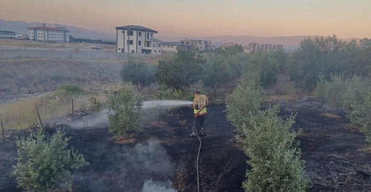 Hassa'da bahçede yangın kontrol altına alındı