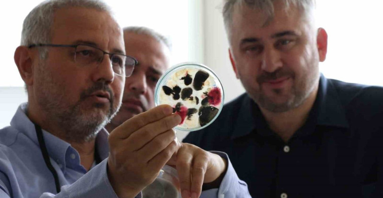 Hatay Tarımında İnovasyon: HBB ve HMKÜ İş Birliği
