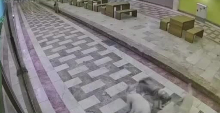 Hatay'da 6 sokak köpeğinin saldırısına uğrayan kedinin mücadelesi güvenlik kamerasında