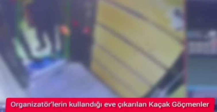 Hatay'da 7 Kaçak Göçmen Yakalandı