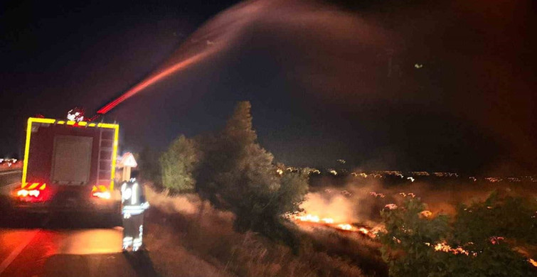 Hatay'da Anız Yangını Zeytinliğe Sıçradı